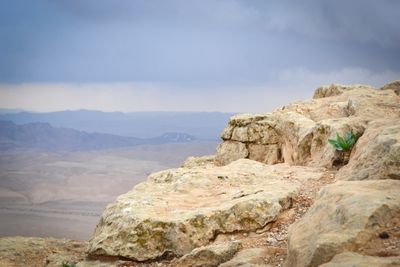 Ramon Crater Plant
