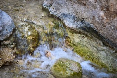 Ein Gedi Stream
