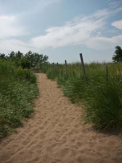 Dune