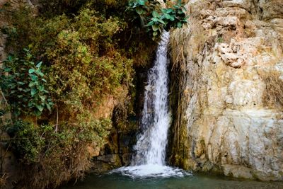 Ein Gedi Waterfall2