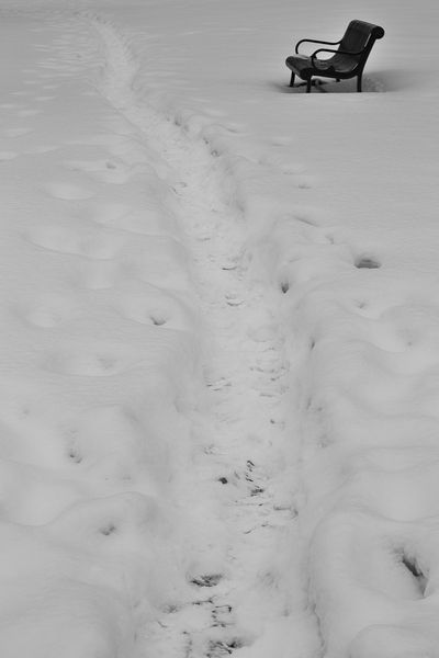 Loringsnow