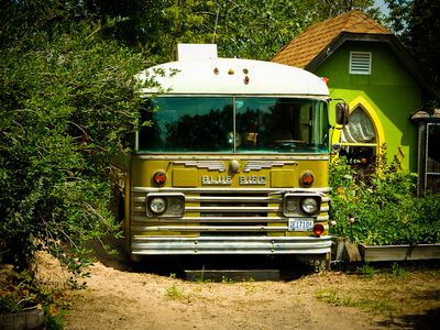Green Bus