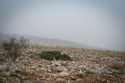 Mt Gilboa