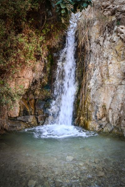 Ein Gedi Waterfall