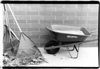 Frozen Wheelbarrow