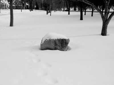 Rock